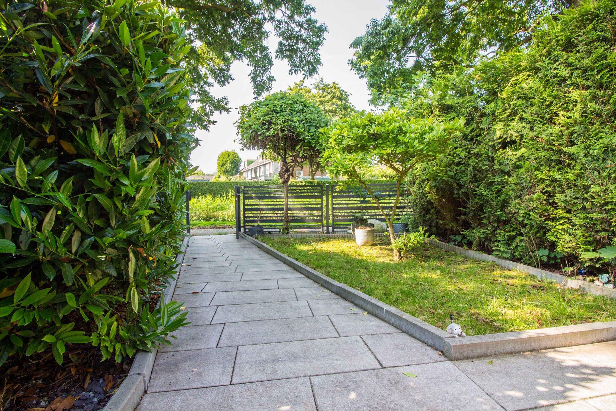 Foto 9 van Duiker 50