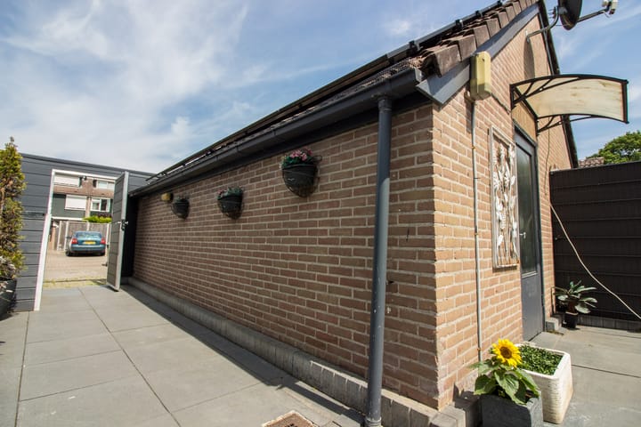 Foto 76 van Duiker 50