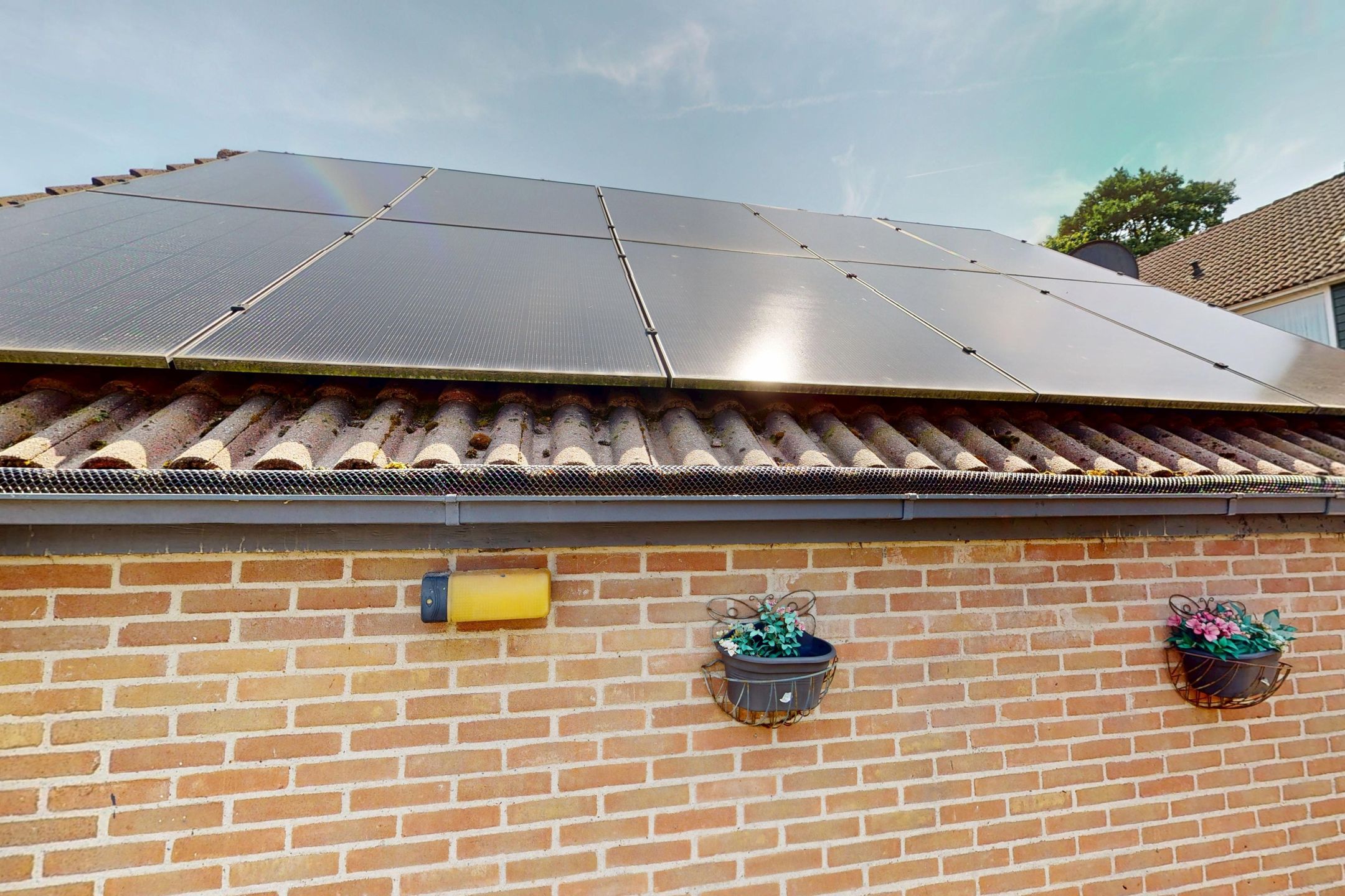 Foto 78 van Duiker 50