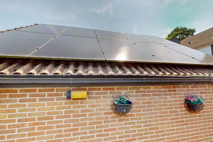 Foto 78 van Duiker 50