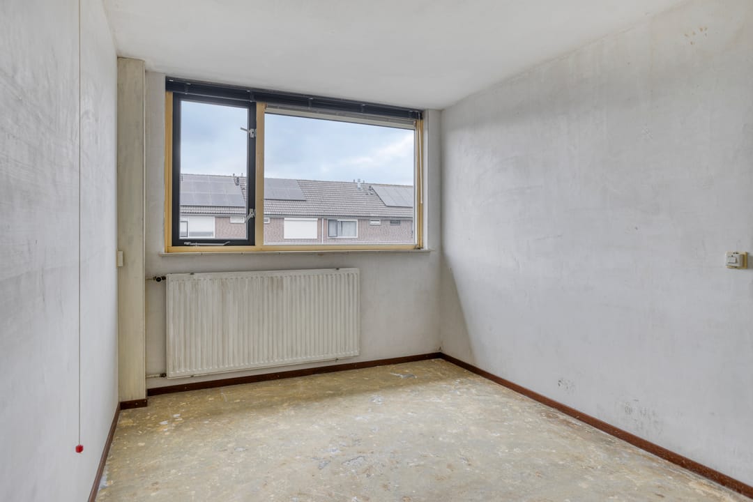 Photo 11 of Ganzepeppel 86