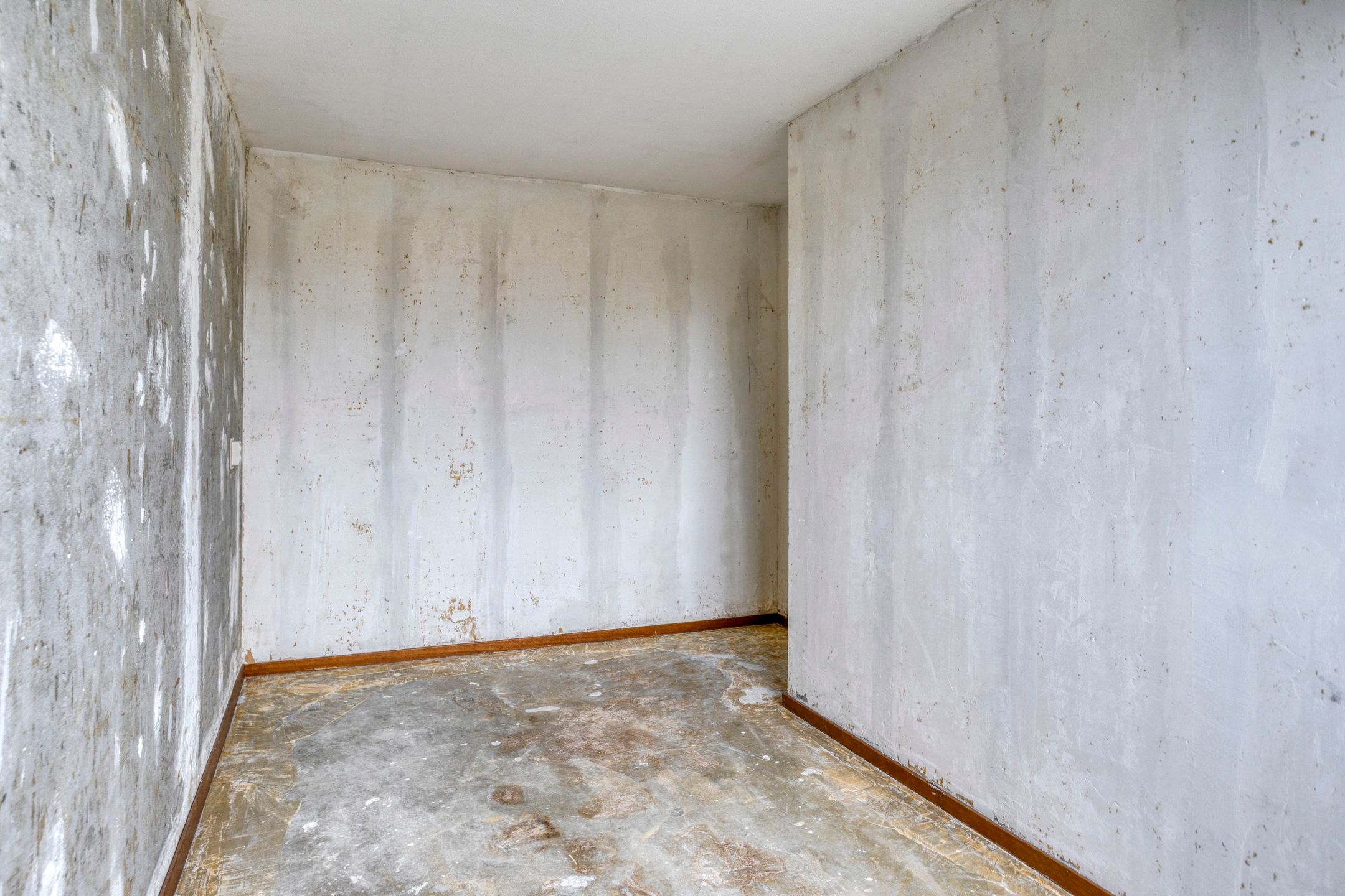 Photo 12 of Ganzepeppel 86