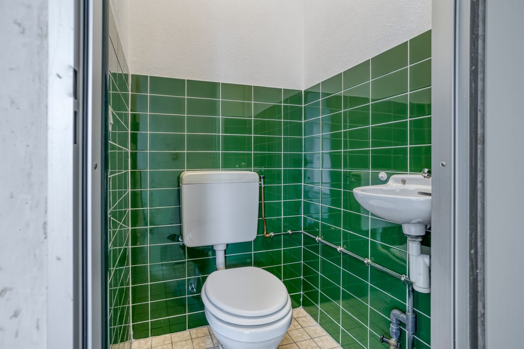 Photo 16 of Ganzepeppel 86