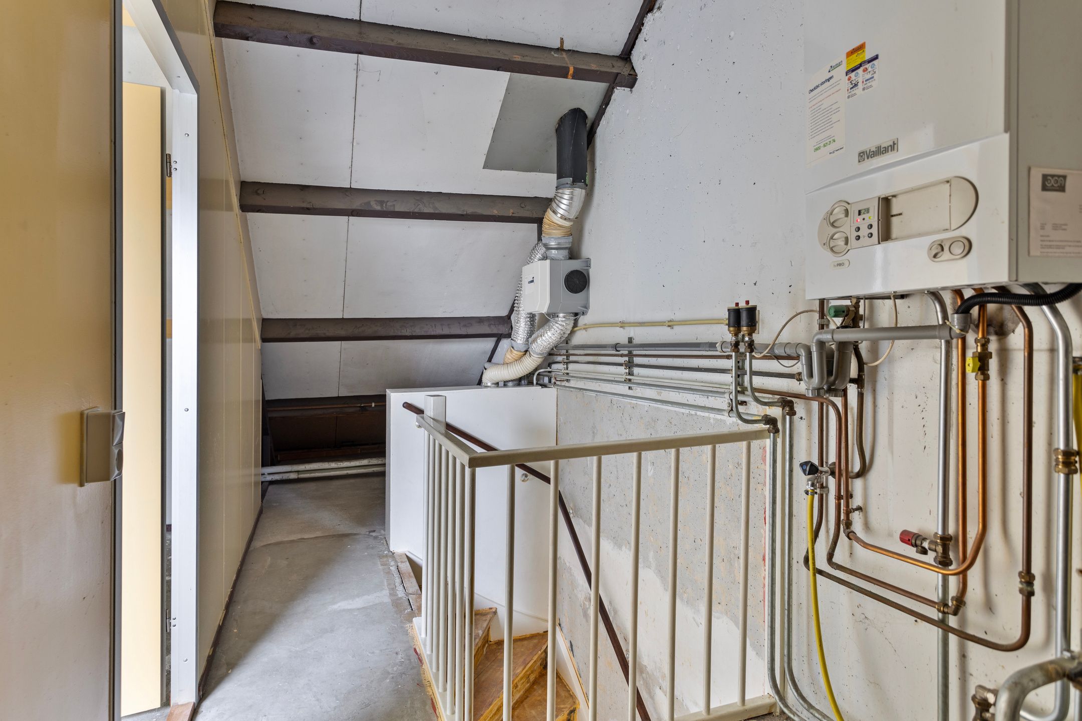 Photo 18 of Ganzepeppel 86