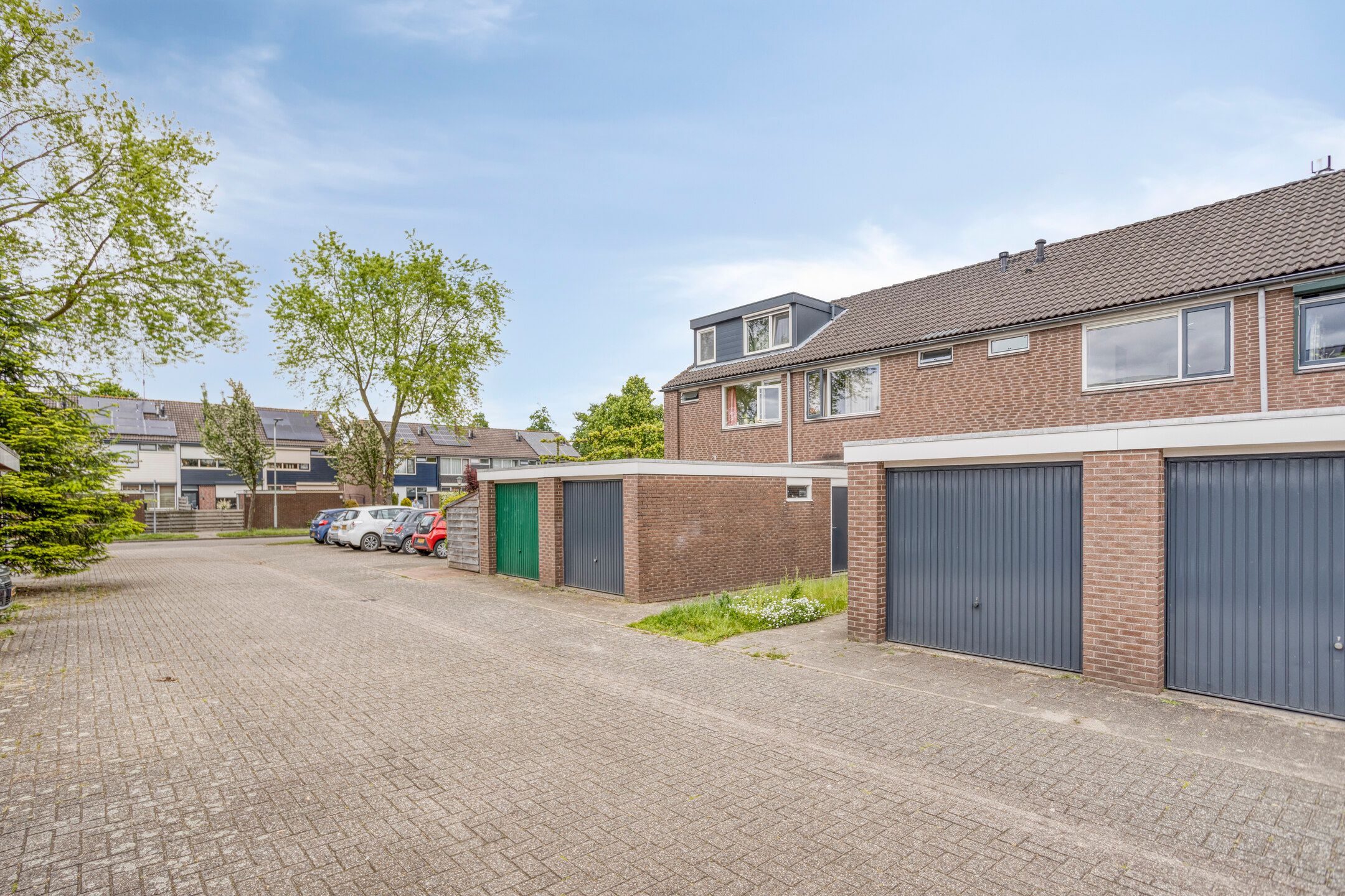 Photo 27 of Ganzepeppel 86