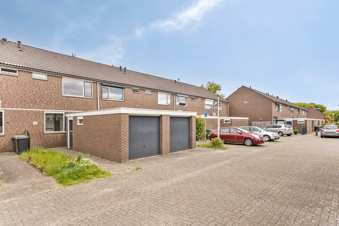 Photo 26 of Ganzepeppel 86