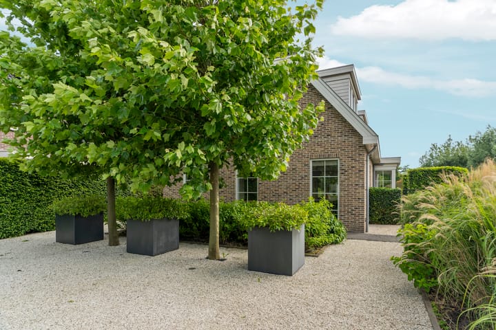 Foto 12 van Tiarastraat 23