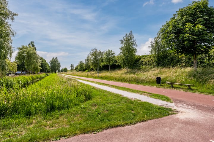 Foto 47 van Goudplaat 136