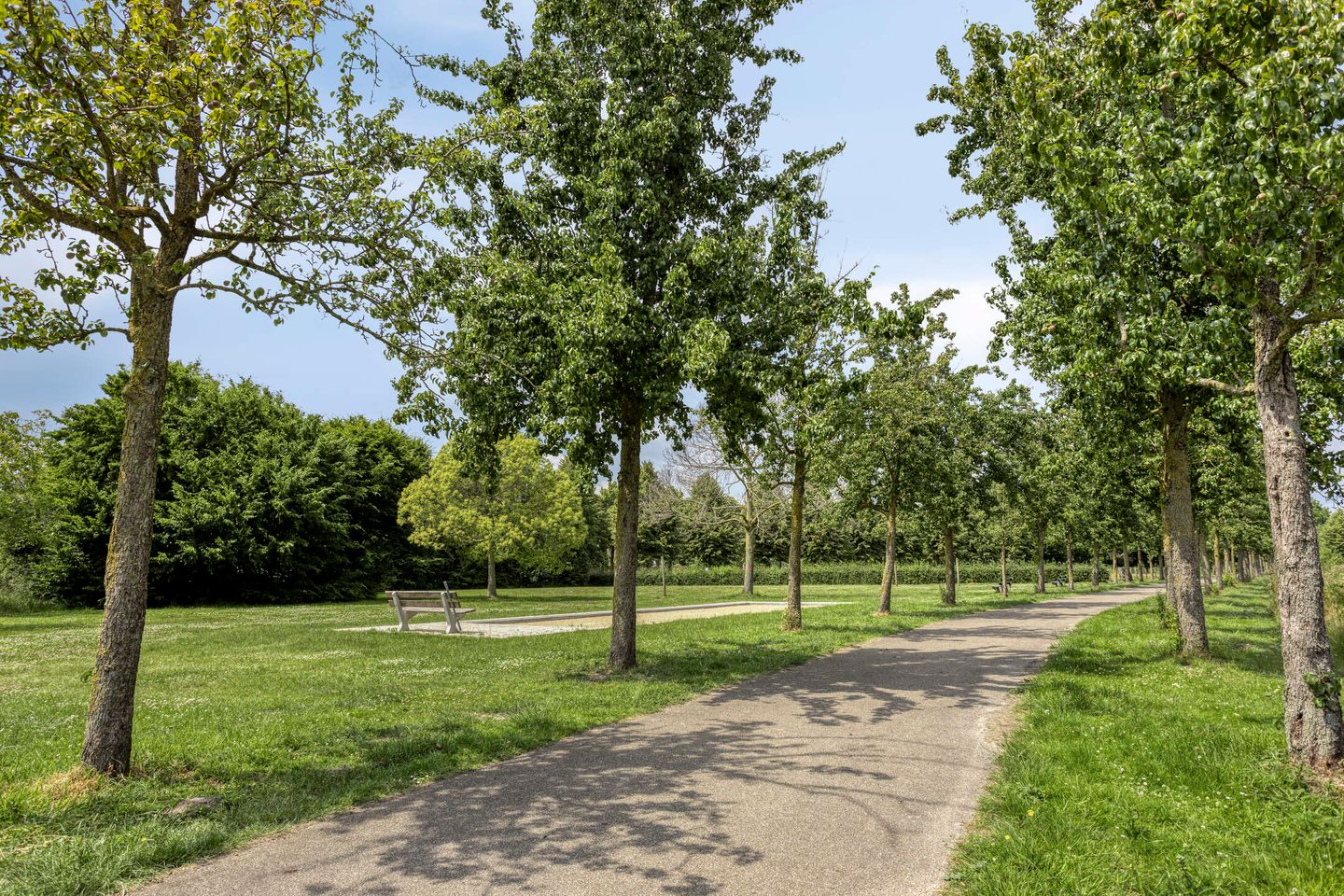 Foto 44 van Schermerhornstraat 14