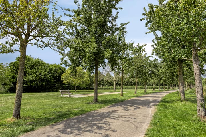 Foto 44 van Schermerhornstraat 14