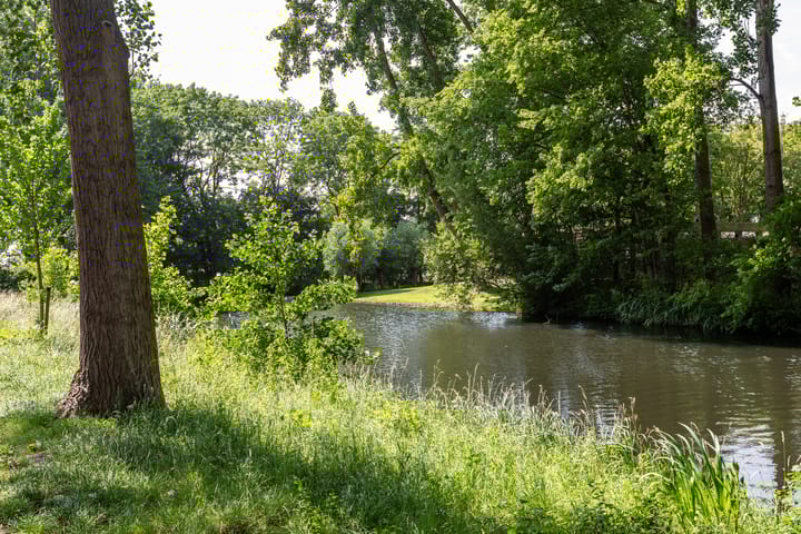 Foto 31 van Strawinskylaan 30