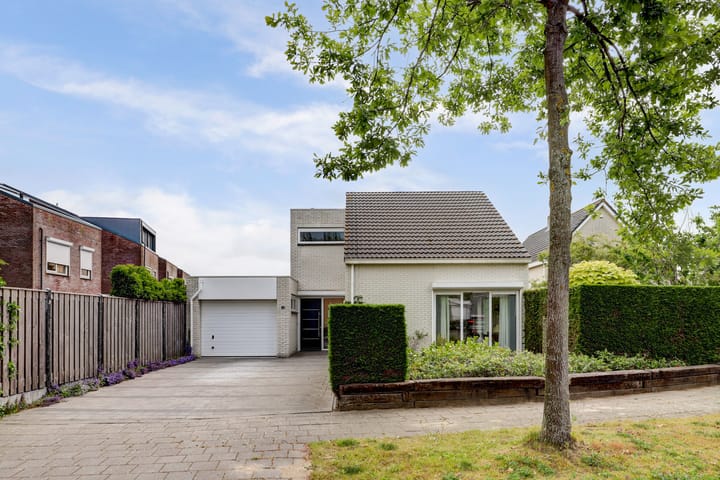 Photo 2 of Duizendblad 11