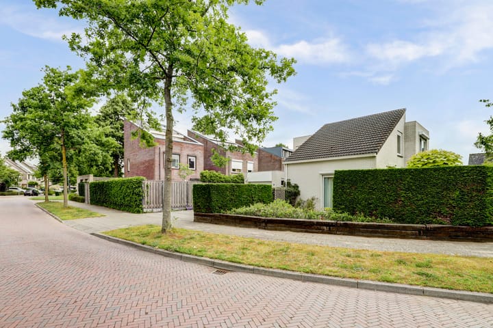 Photo 3 of Duizendblad 11