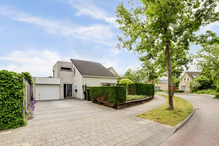 Photo 4 of Duizendblad 11