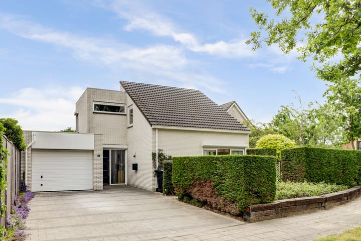 Photo 5 of Duizendblad 11