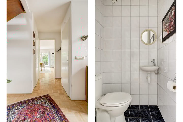 Foto 8 van Duizendblad 11