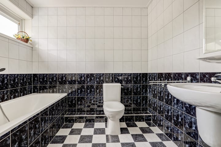 Foto 25 van Duizendblad 11