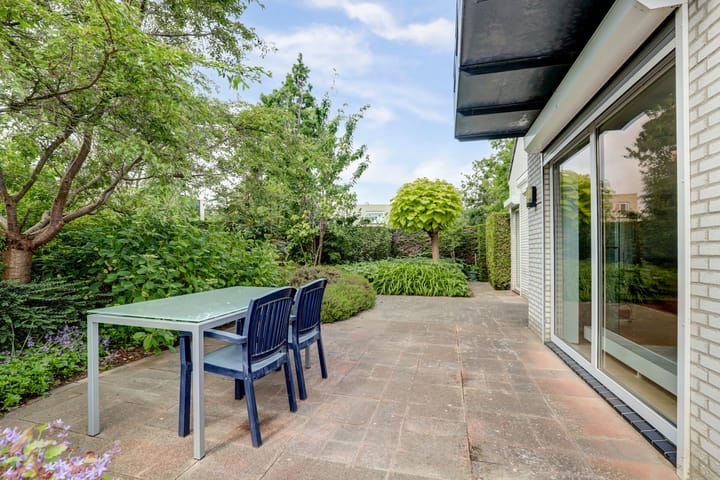 Foto 35 van Duizendblad 11