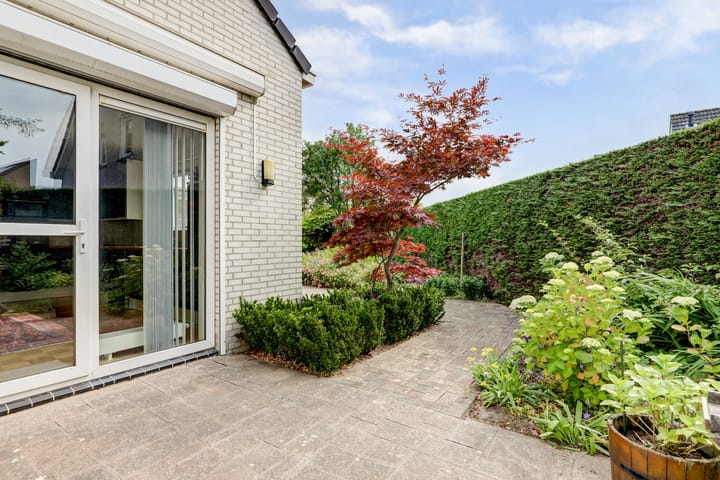 Foto 36 van Duizendblad 11