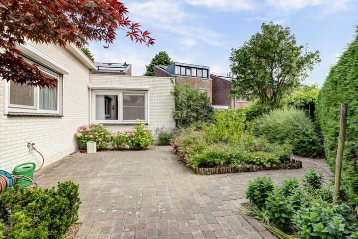 Foto 38 van Duizendblad 11