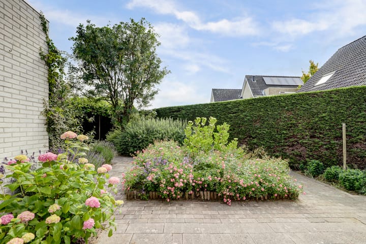 Foto 39 van Duizendblad 11