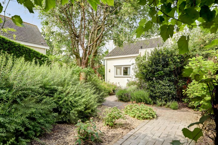 Foto 40 van Duizendblad 11