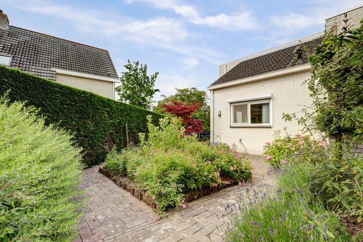 Foto 42 van Duizendblad 11