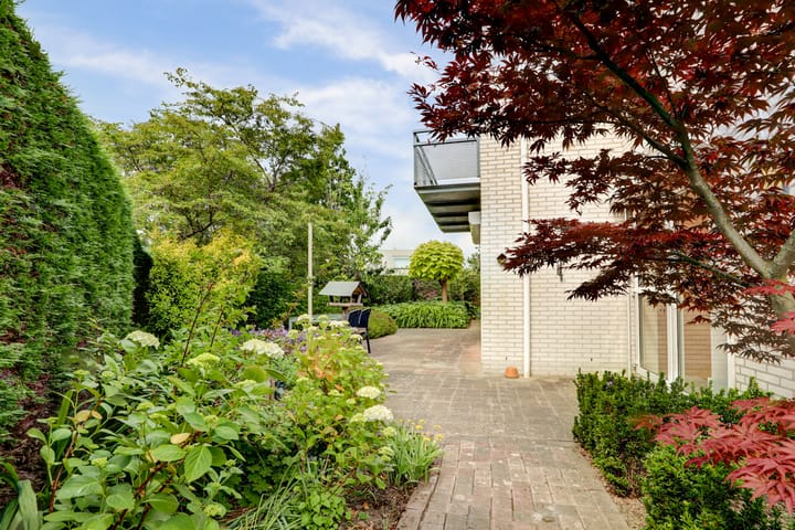 Foto 43 van Duizendblad 11