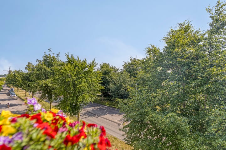 Foto 17 van Majoraan 43