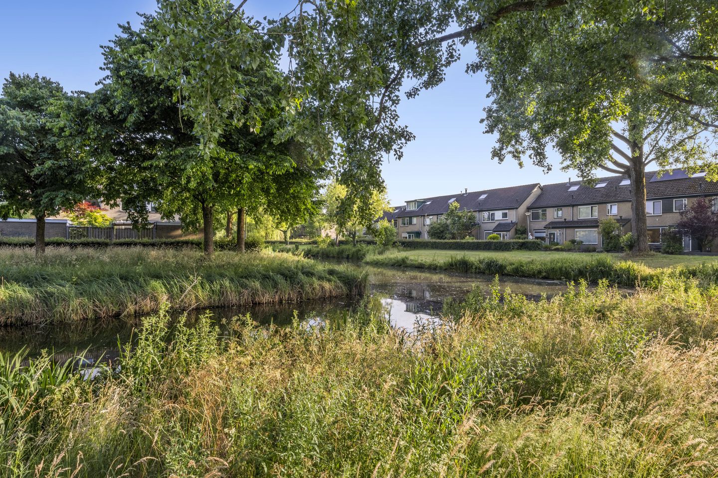 Photo 44 of Zandkamp 27