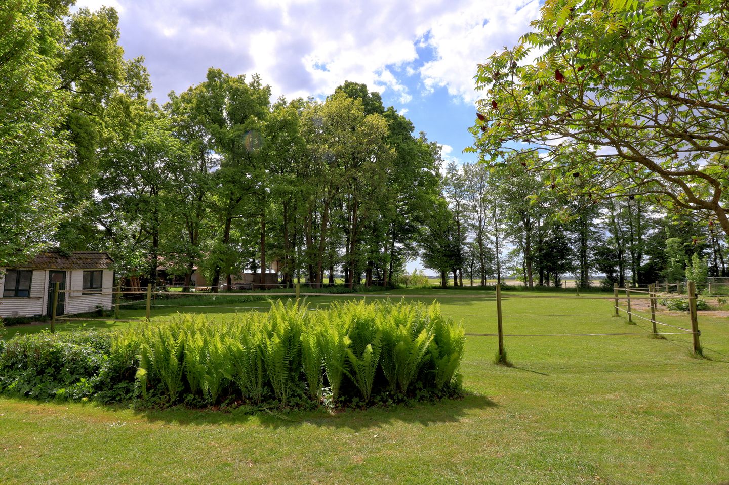 Foto 5 van Ettenlandseweg 4