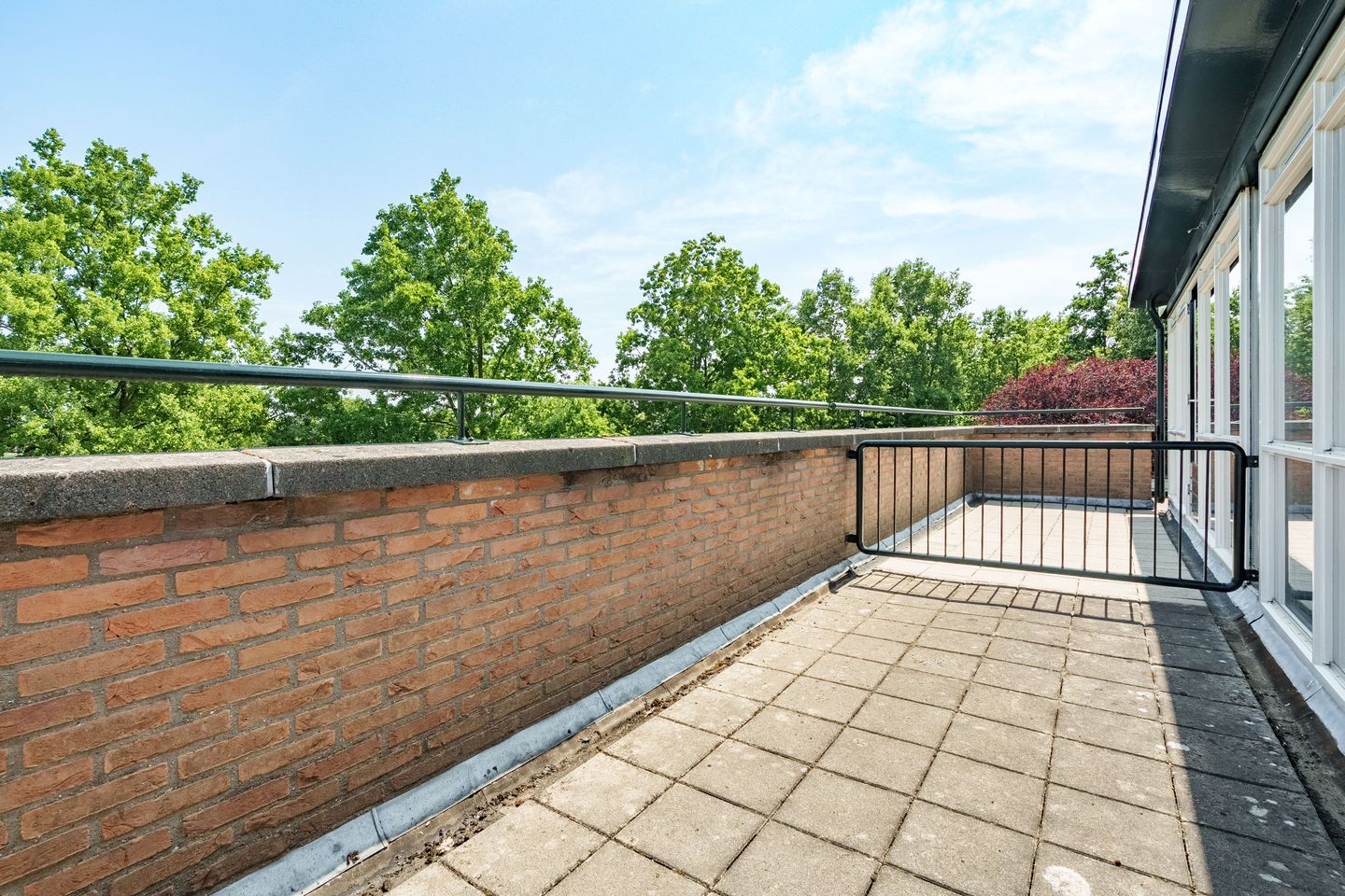 Foto 25 van Govert Flinckhage 23