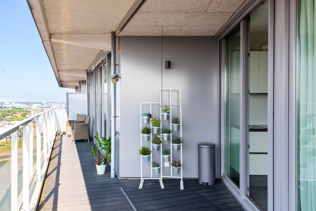 Foto 17 van Kaapstander 262