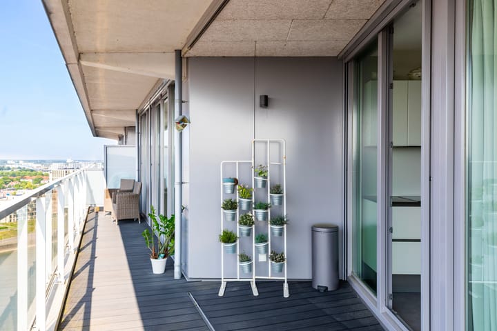 Foto 17 van Kaapstander 262