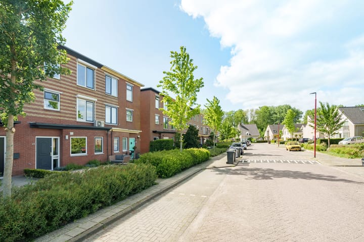 Foto 2 van Frans Halshage 41