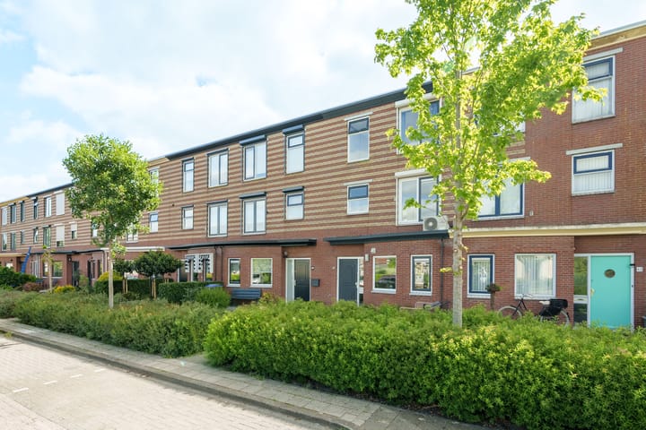 Foto 3 van Frans Halshage 41