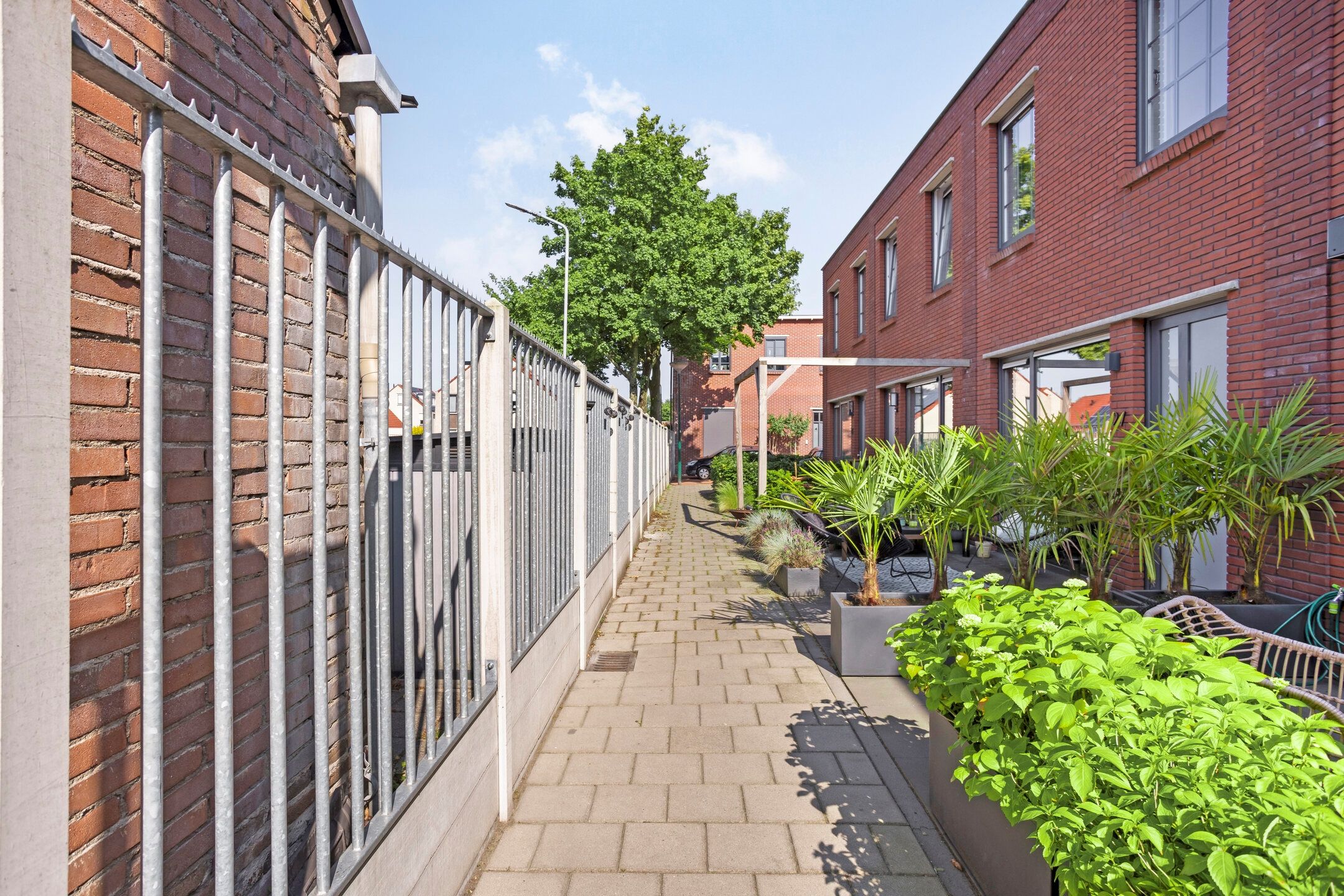 Photo 30 of Paul Heijhof 27