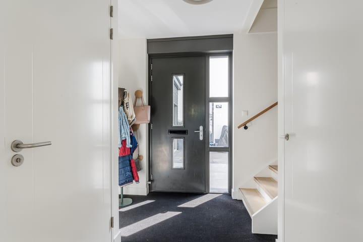 Foto 18 van Allium 8