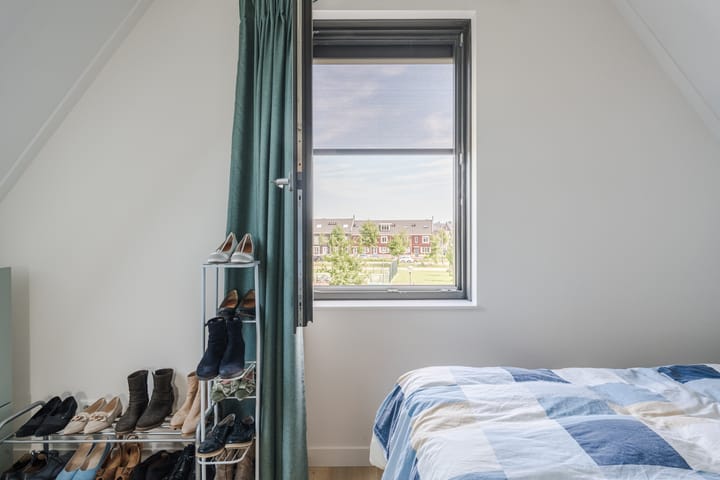 Foto 34 van Allium 8