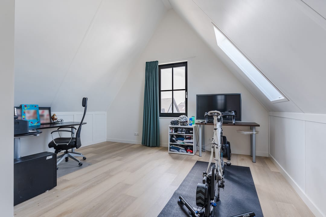 Foto 38 van Allium 8