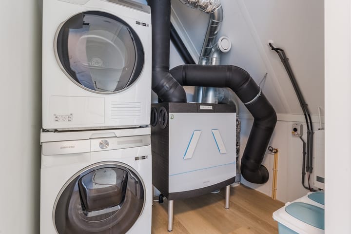 Foto 40 van Allium 8