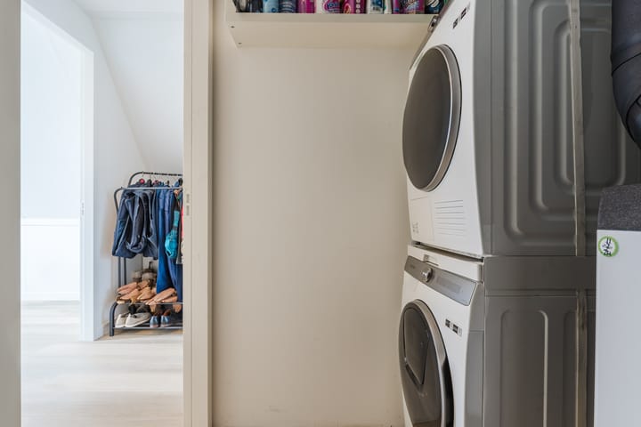 Foto 41 van Allium 8