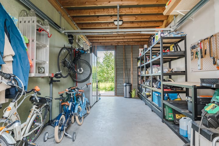 Foto 43 van Allium 8