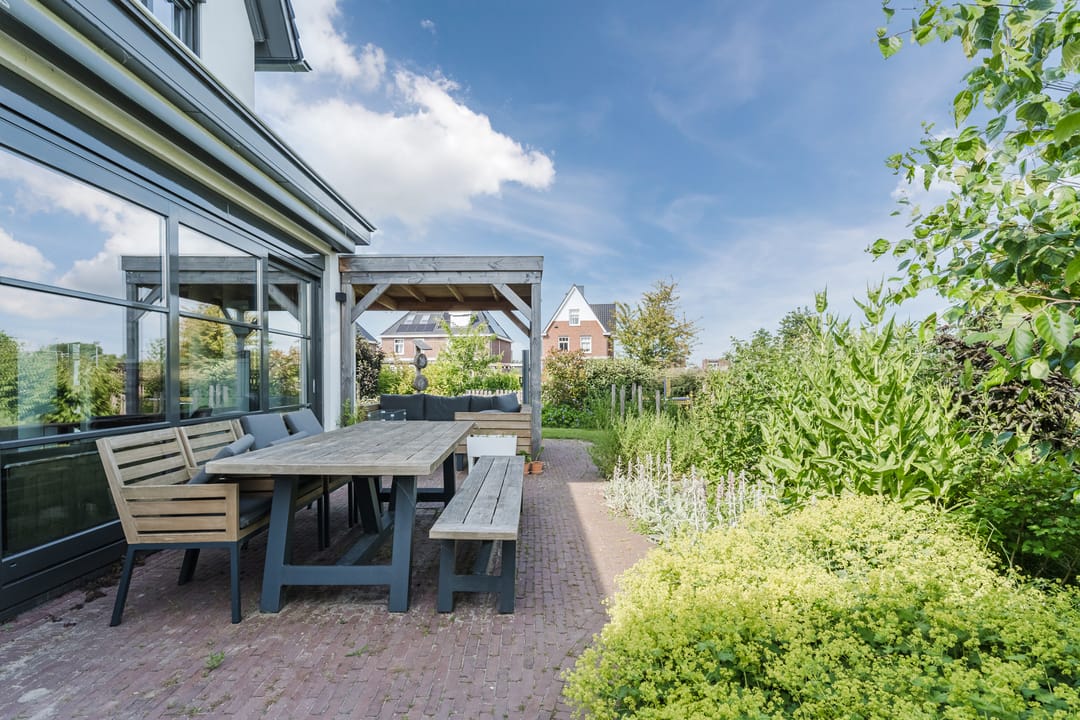 Foto 46 van Allium 8