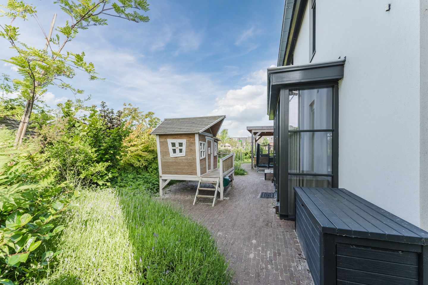 Foto 50 van Allium 8