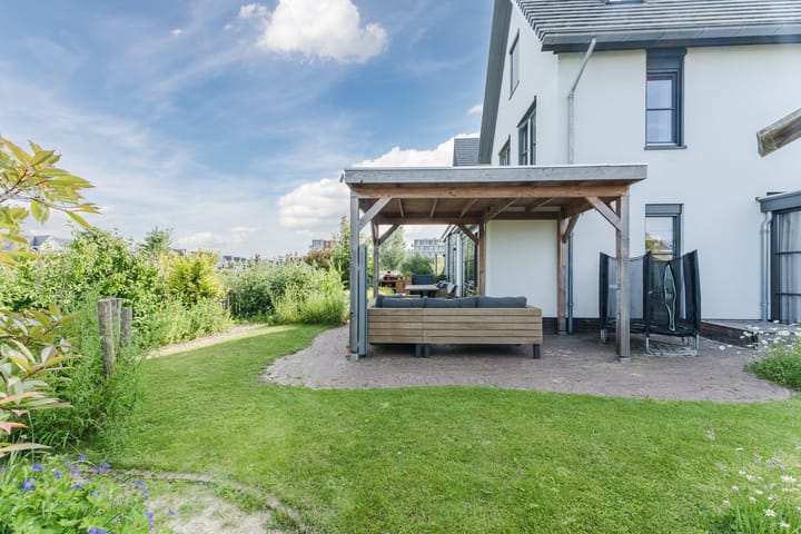 Foto 51 van Allium 8