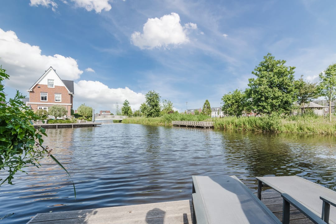 Foto 52 van Allium 8