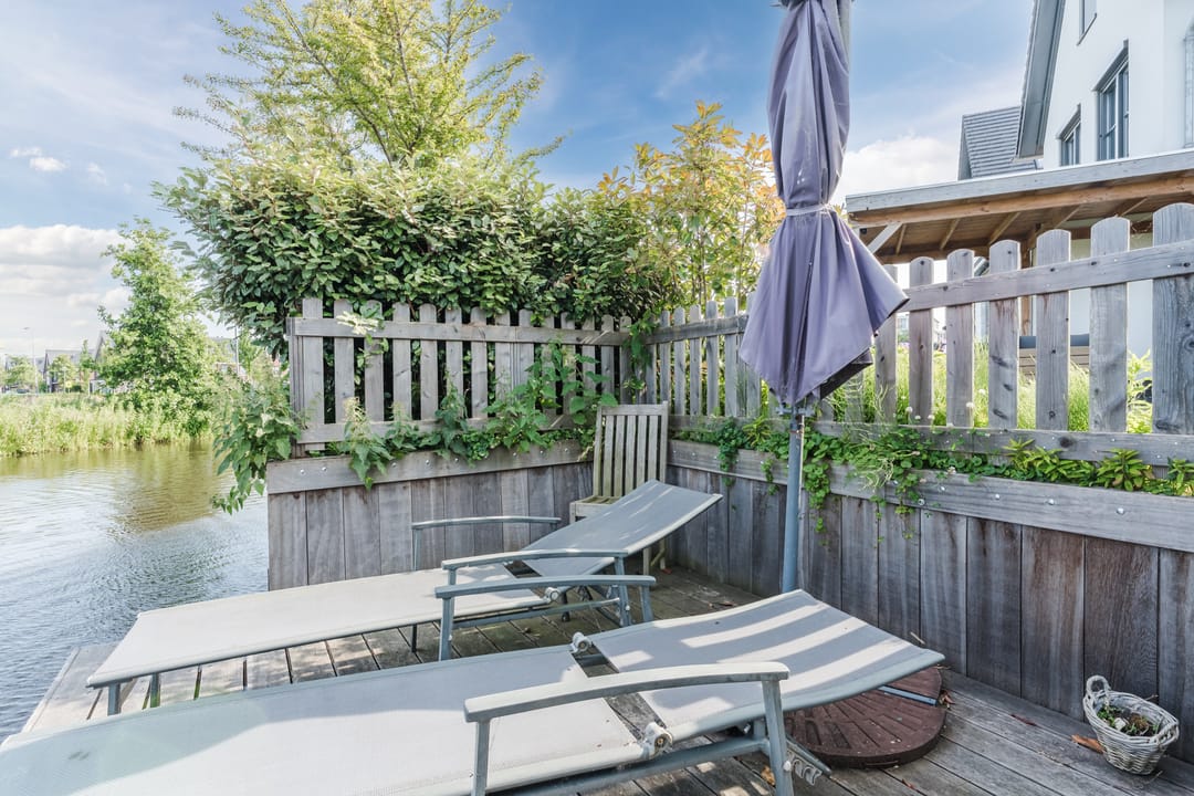 Foto 53 van Allium 8