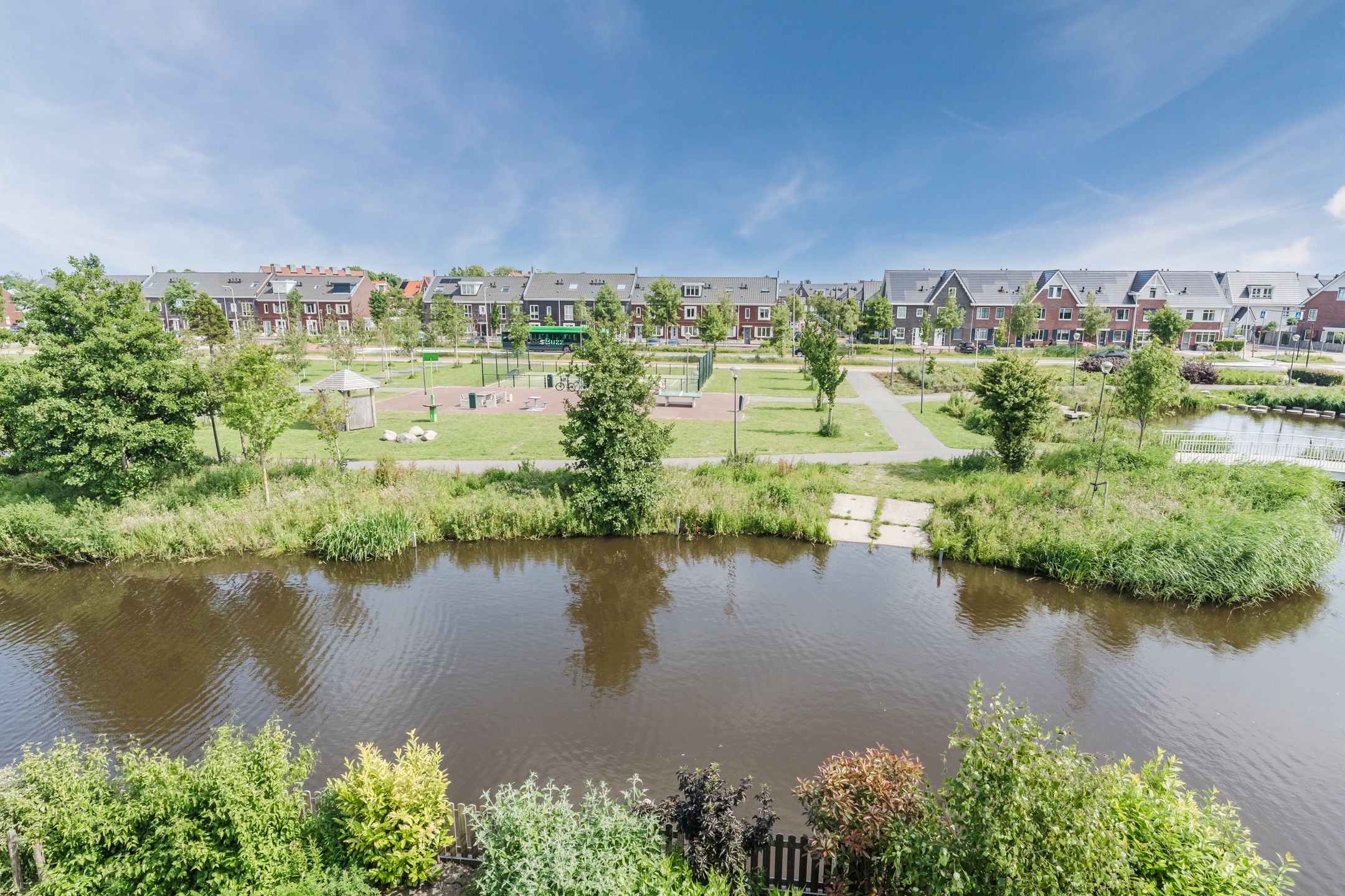 Foto 54 van Allium 8