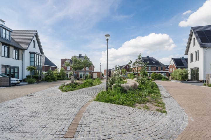 Foto 56 van Allium 8